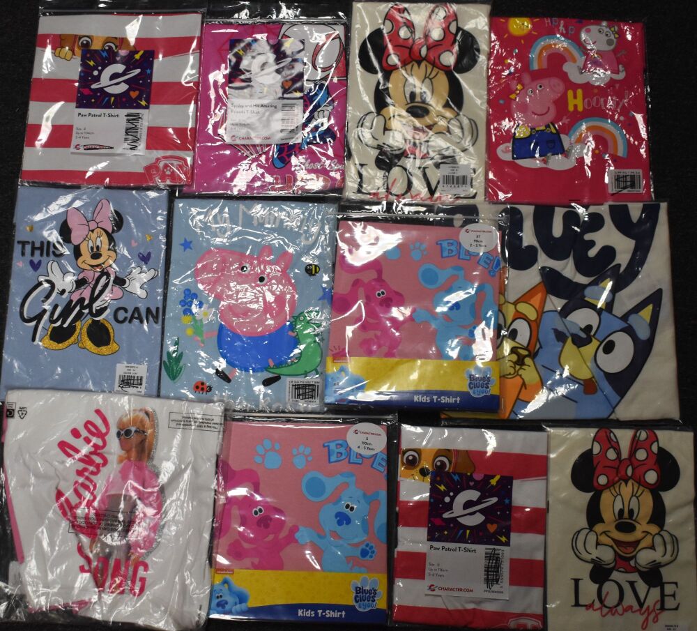 13 Girls Assorted Character T-Shirts