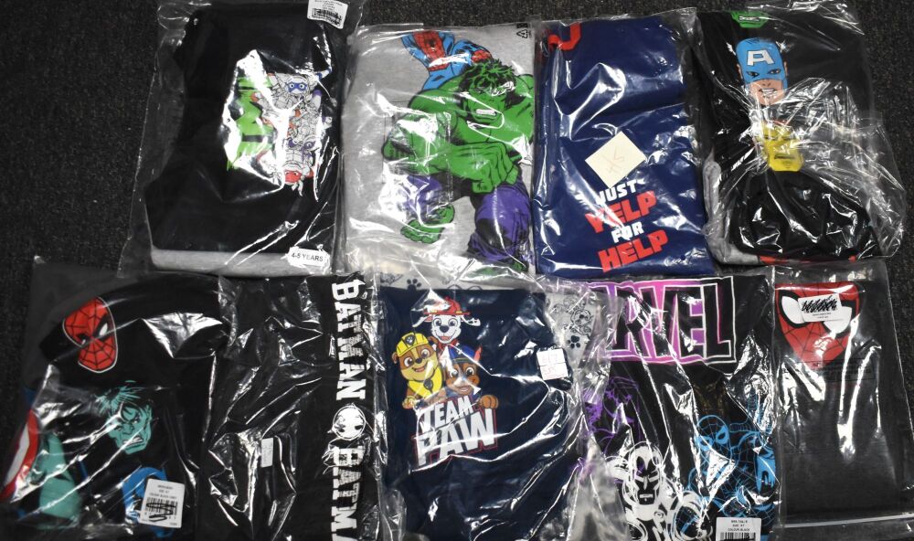 15 Boys Assorted Character Joggers