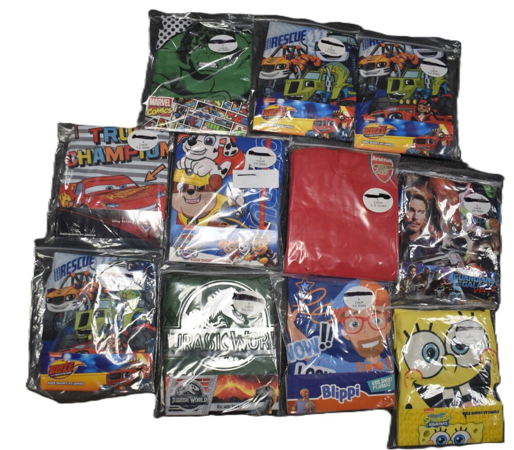 11 Boy's Assorted Character Short Pyjamas