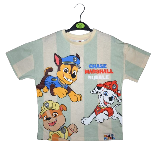 10 Boys Paw Patrol T-Shirts Size 4-5
