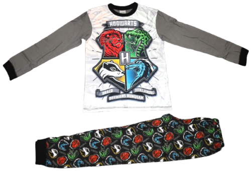 10 Boys Harry Potter Pyjamas Size 11-12