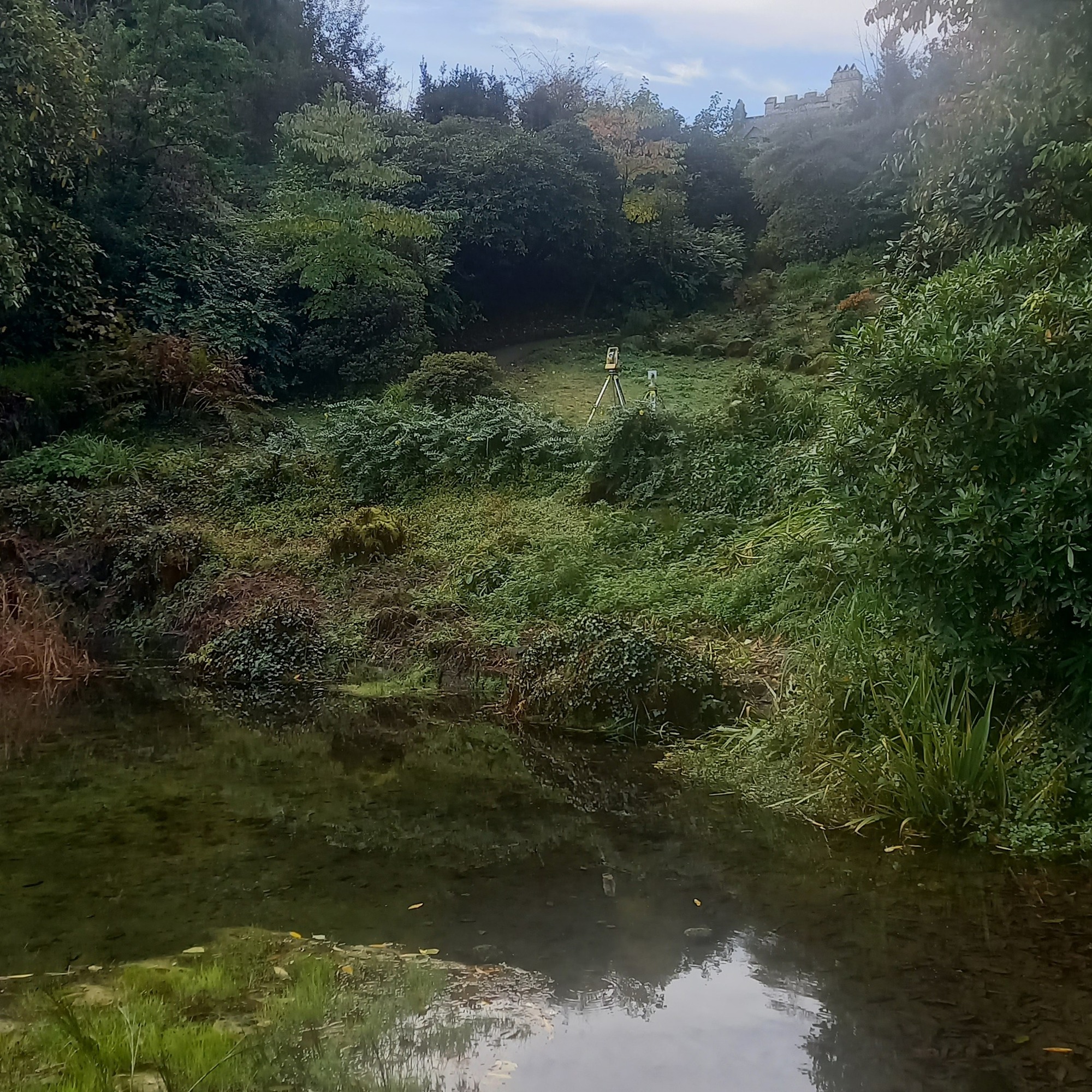 Cotehele (2)