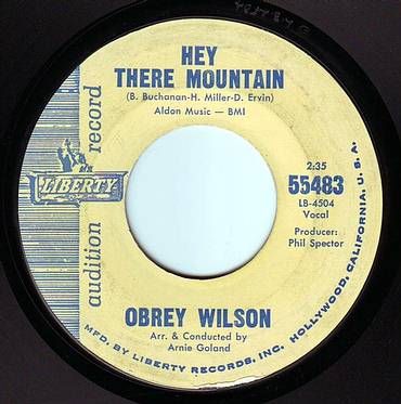 OBREY WILSON - HEY THERE MOUNTAIN - LIBERTY DEMO