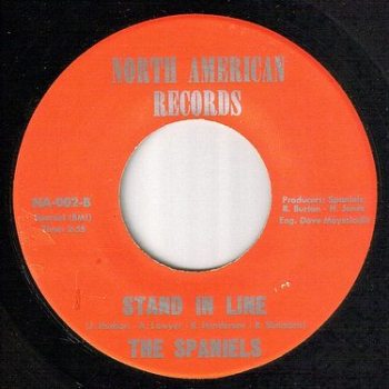 SPANIELS - STAND IN LINE - NORTH AMERICAN