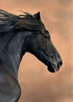 Limited edition print - Black Horse