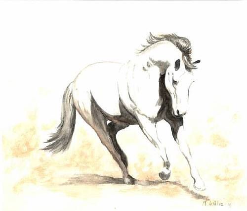 Limited edition print - full body horse