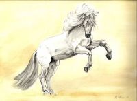 Limited edition print - rearing horse