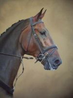 Original oil painting - Horse head