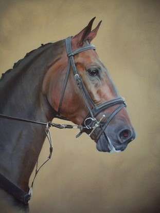 Original Oil Painting Horse Head