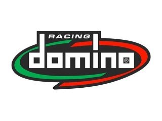 Domino Logo small