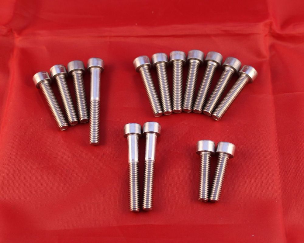 Crankcase Cover Stainless Allen Screw Set - TY80