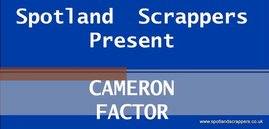 Cameron FactorDVDtitle