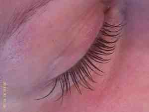 After Lash Extensions