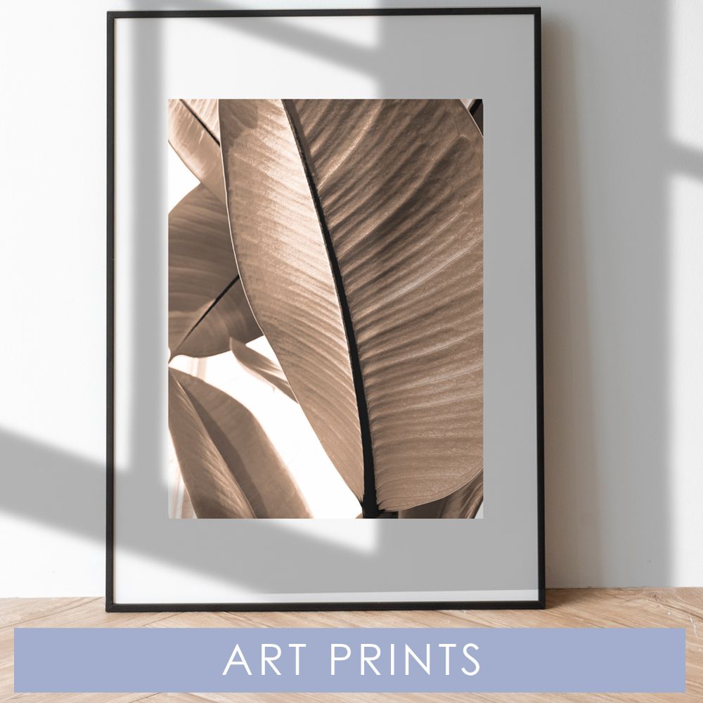 Art Prints