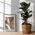 nuse plant lifestyle.jpg