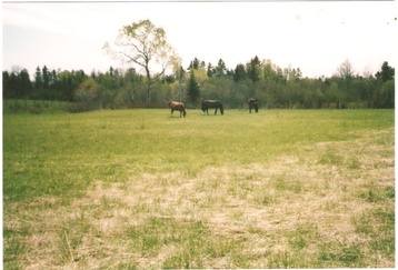 field