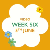 Sirdar cal 2024 week 6 blossom and buds spring crochet blanket video how-to