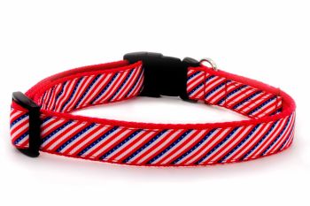 Unique hand made dog collars and leads. Colourful dog collars. Bright ...