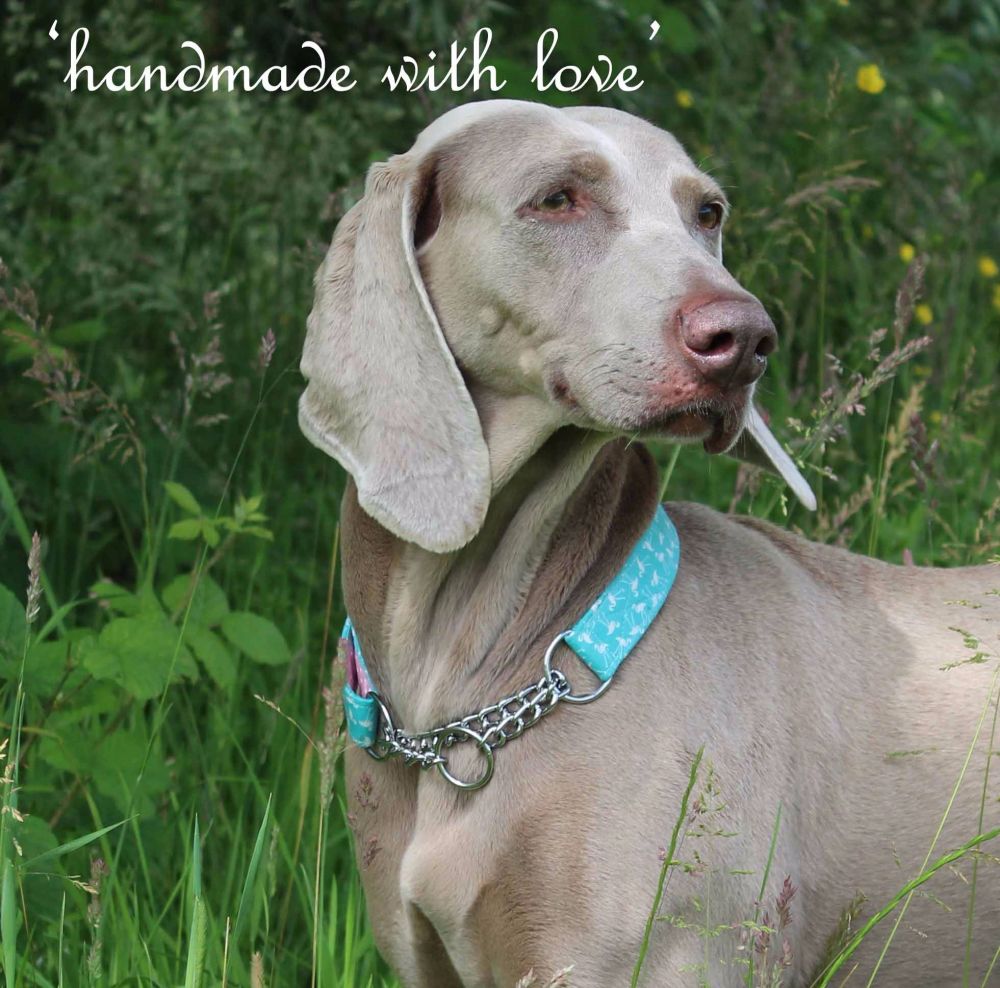 Personalised Dog Collars Handmade Dog Collars here in the UK Many