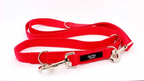 Multi-functional Training Lead