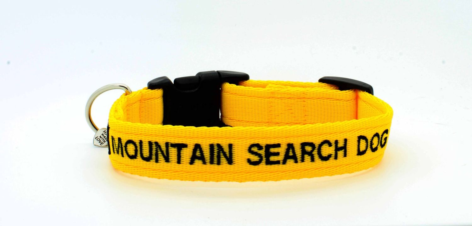 Personalised Dog Collars Handmade Dog Collars here in the UK Many