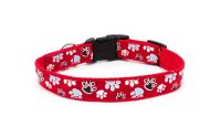 Red 'Paws Galore' Collar