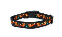  Playful Foxes Collar