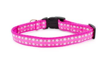 Pink Daisy-May Collar