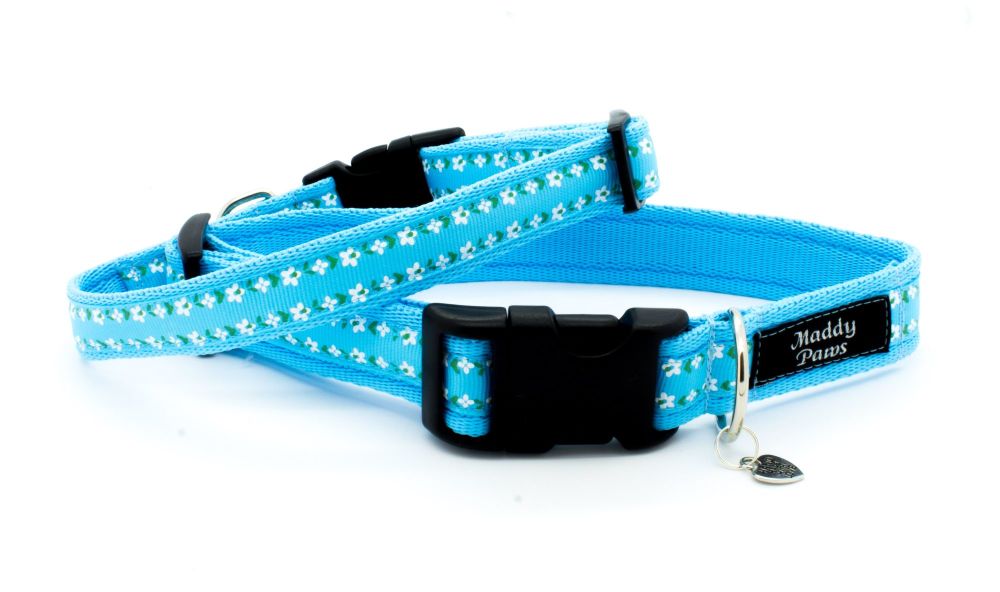 Turquoise Daisy-May Collar