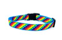 Rainbow Stripe Collar