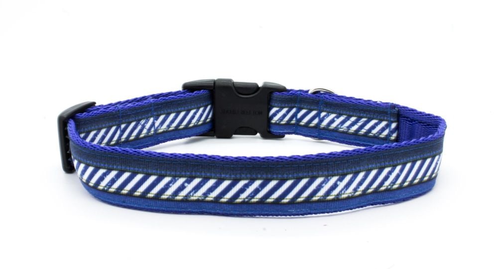 Royal Blue Striped Collar