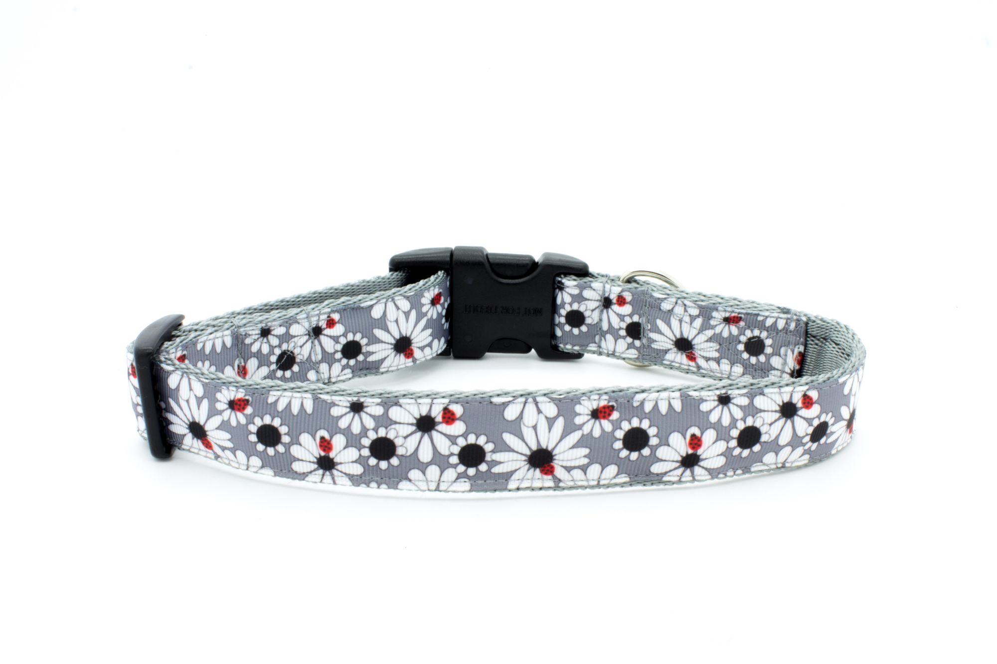 small pet collars