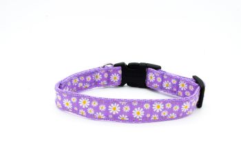 Lilac Daisies Collar