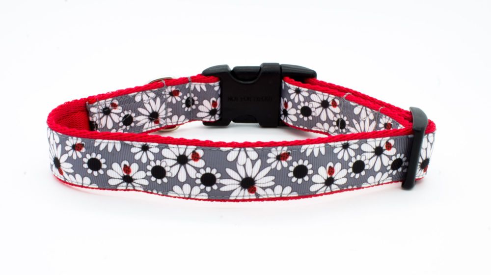 Personalised Dog Collars | Handmade Dog Collars here in the UK | Many ...
