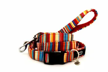Mixed-stripe Collar