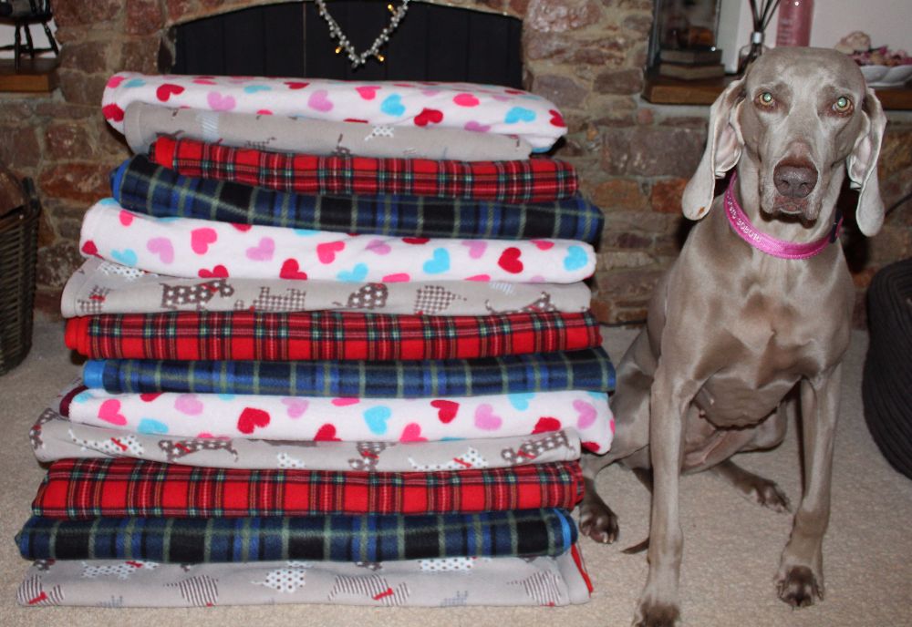 'Maddy Paws' double sided fleece Blanket
