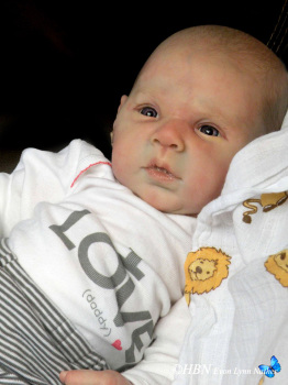 Open eyed - Gabriel Kit by Michelle Fagan - *COMPLETE REBORN STARTER SET!!* 20" BABY With faux doe suede, disc jointed body.