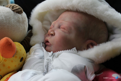 Sleeping - Sweet Pea Kit by LL Eagles - *COMPLETE REBORN STARTER SET!!* Mak