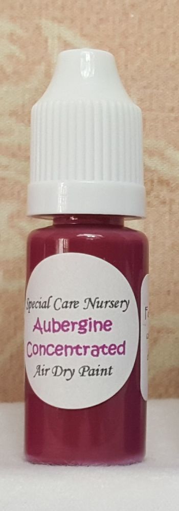 Special Care Nursery Air dry paints - *The concentrated paints* - 10ml Aubergene. For Use With The Special Care Nursery Air Dry Reborning Paints.