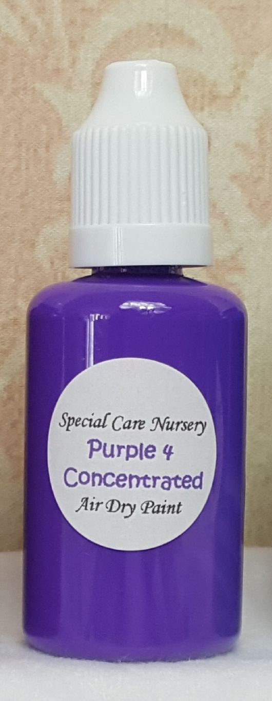 Special Care Nursery Air dry paints - *The concentrated paints* - 30ml Purp