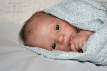 Realborn® Thomas Awake 17"