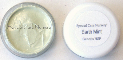 Genesis Heat Set Oil Paints 6g/ml pot 6g/ml Earth Mint