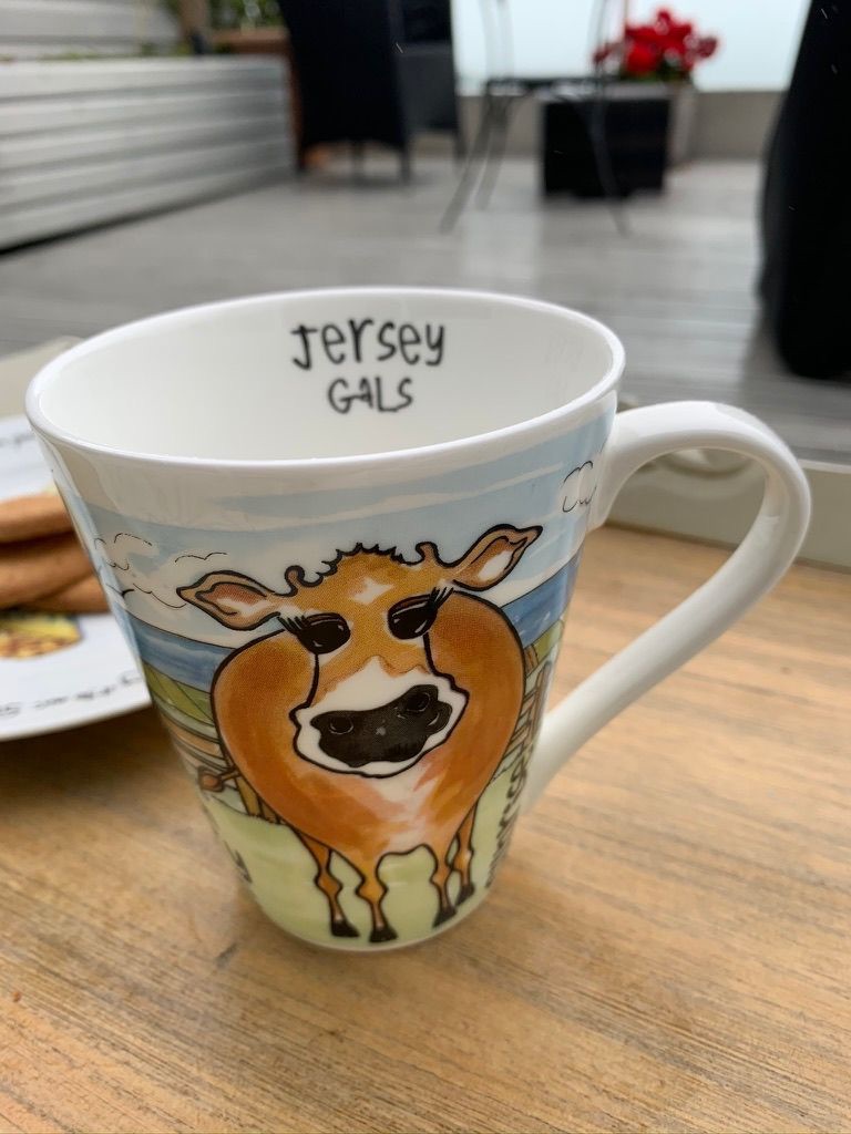 Jersey Gals Mug      