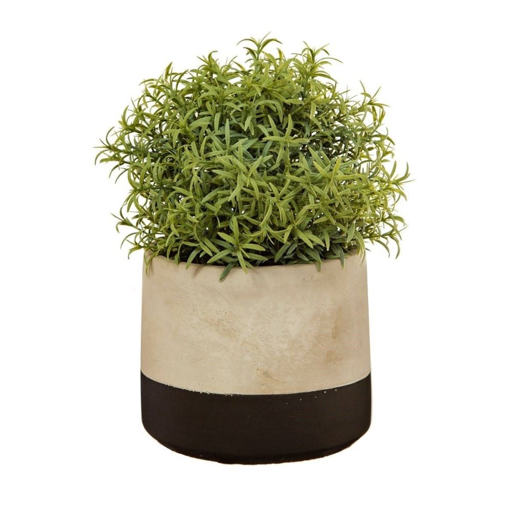 Black Dipped Cement Pot Holder - CLICK & COLLECT ONLY