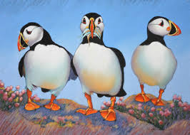 Puffins by Kathy Rondel