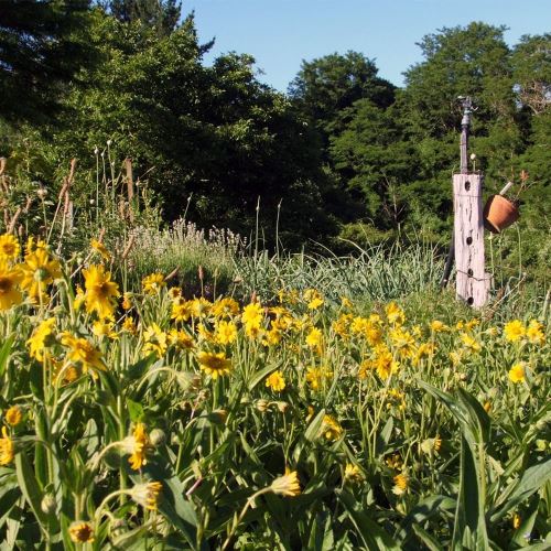 Millstream Gardens Natural Herbal Ointments & Skin Care Products