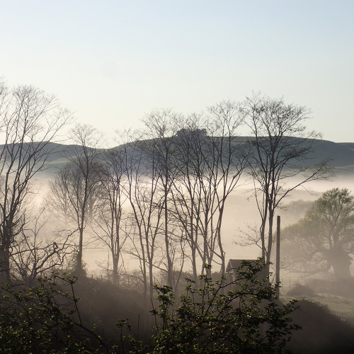 Millstream Gardens Natural Herbal Ointments & Skin Care Products