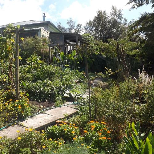 Millstream Gardens Natural Herbal Ointments & Skin Care Products