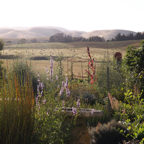 Millstream Gardens Natural Herbal Ointments & Skin Care Products
