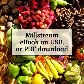 Millstream Not Mainstream eBook